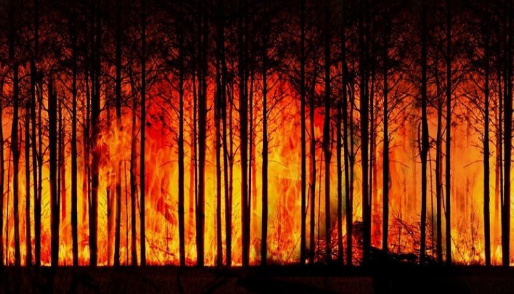 El cambio climático afecta el ecosistema.