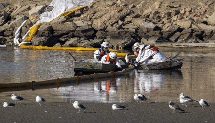 Un derrame de petróleo de 3.000 barriles, aproximadamente 126.000 galones, de una plataforma petrolera en alta mar llega a la costa de California./ AFP