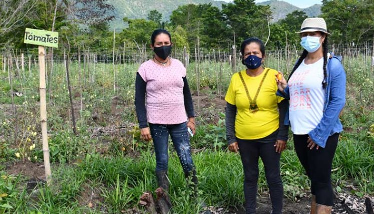 mueres de la asociación de la vereda El Suspiro. /foto cortesía GIZ