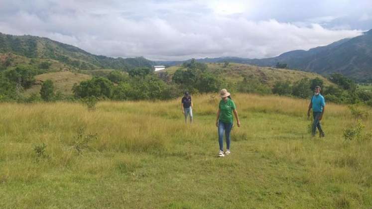 Se adelanta el trabajo de campo para ejecutar el programa forestal.