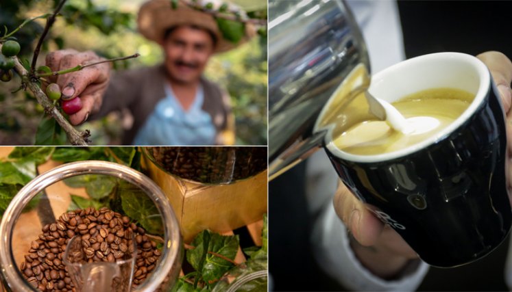 En Colombia, país reconocido internacionalmente por la calidad de su café, se habla de diversas preparaciones. / Foto: Archivo