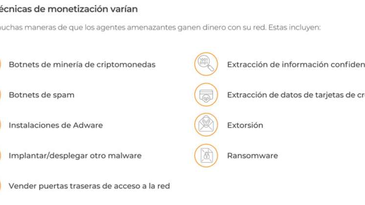 Técnicas de monetización. / Gráfico: Lumu Technologies