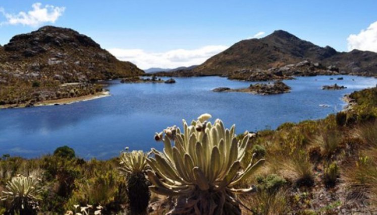 El páramo genera agua para 2,5 millones de personas.