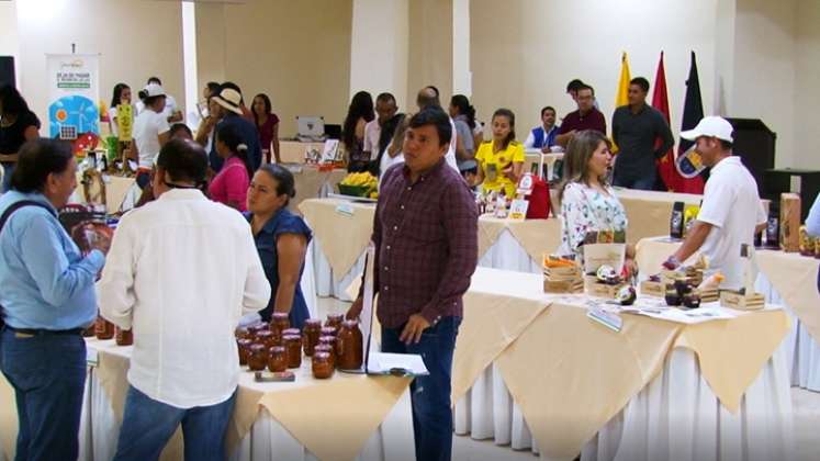 Negocios ambientales en Norte de Santander