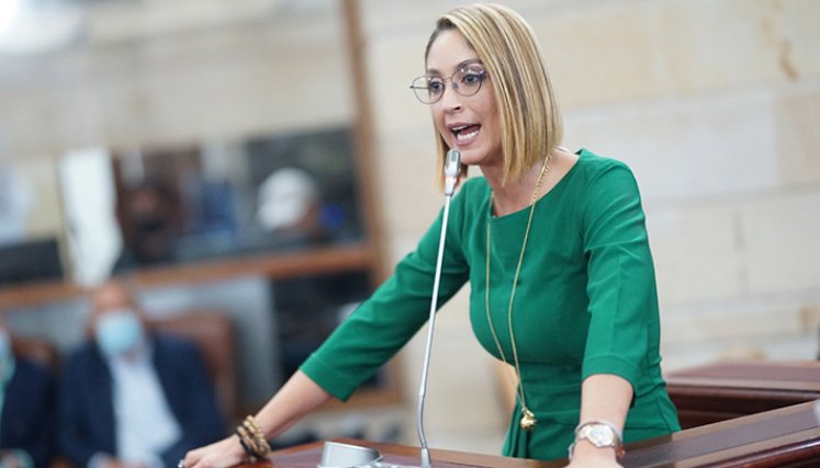 El duro debate que generó el plagio de Arias en la plenaria de la Cámara