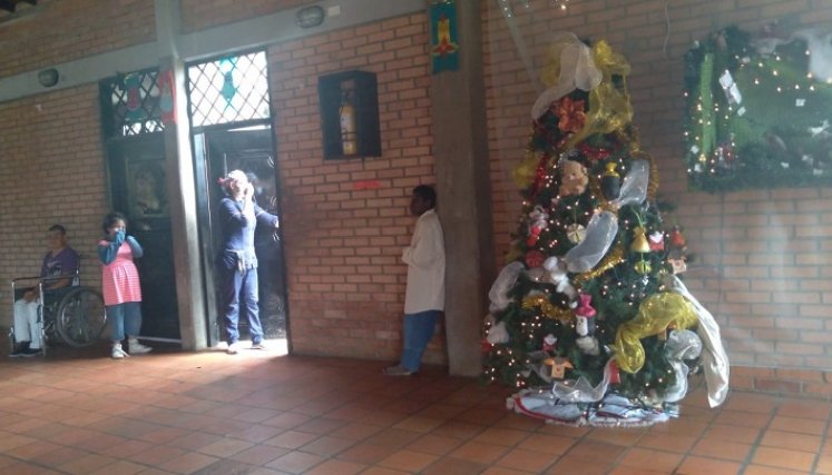Arman el arbolito de Navidad y el pesebre juntos 
