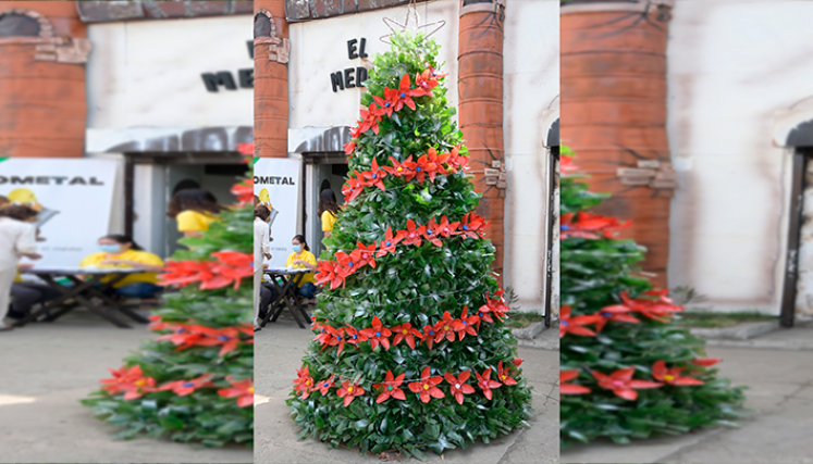El árbol fue elaborado con 1.000 botellas de plástico