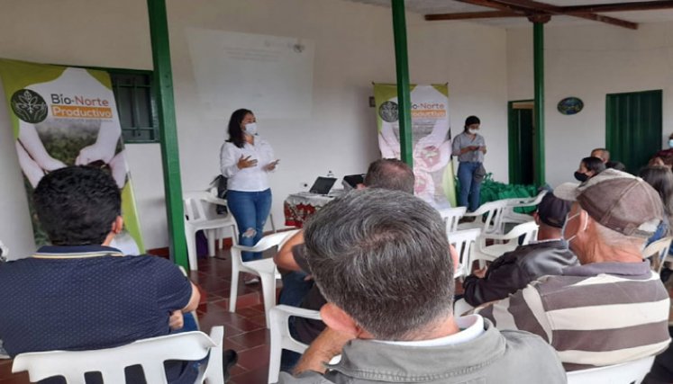 Los productores se capacitaron sobre buenas prácticas agrícolas. Foto: Cortesía/La Opinión.
