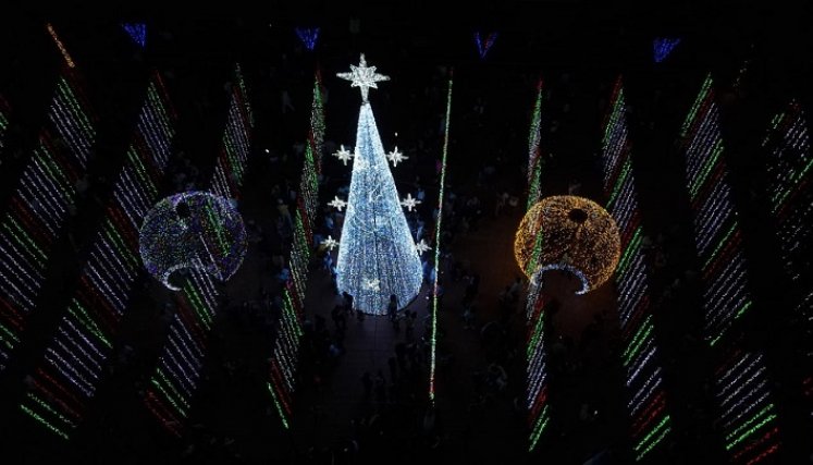 En medio de un espectáculo se encienden las luces navideñas.