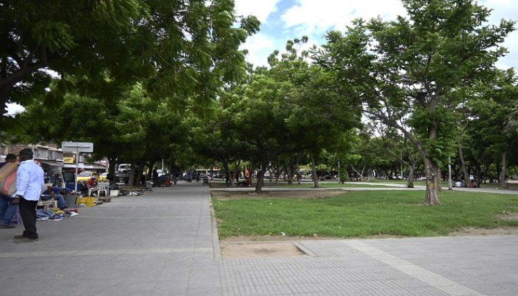 En el parque Lineal si han visto los cambios. / Foto: Jorge Gutiérrez / La Opinión 