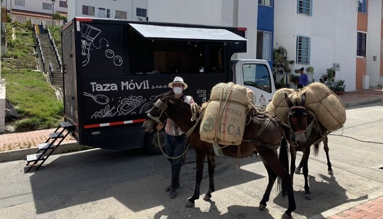 Estrategia comercial para promocionar la calidad del café en todo el territorio nacional. Expertos en la materia recorren la zona del Catatumbo para la compra directa del grano a los campesinos de la región.
