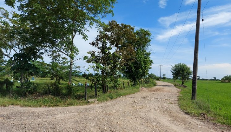 La víctima fue asesinada a bala en una finca.