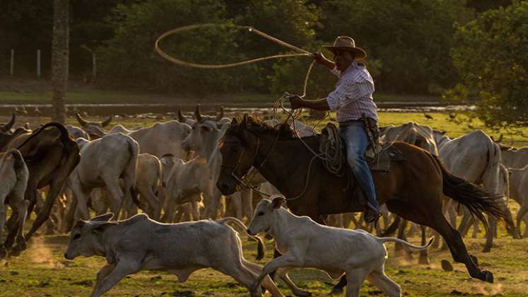 Señal Colombia y el tesoro oculto de la Orinoquía