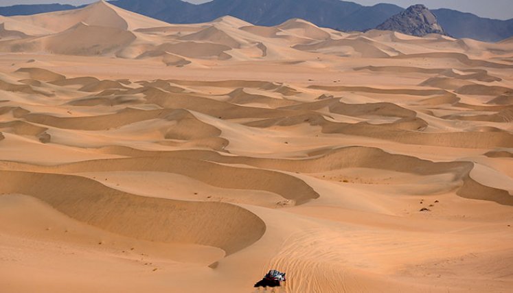 Etapa 11 del Rally Dakar 2022. Foto:AFP