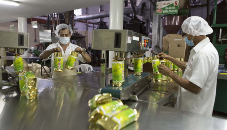 Norte de Santander incrementó sus ventas a mercados como Puerto Rico, Panamá, Costa Rica y República Dominicana.