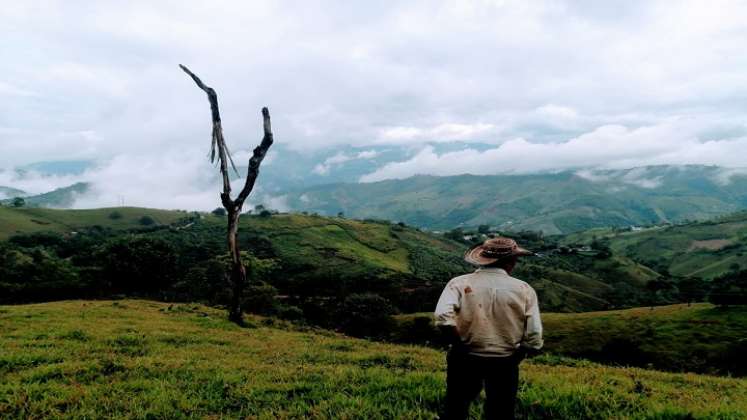 No existe una voz de esperanza para resarcir las pérdidas en el sector campesino.