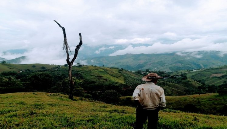 No existe una voz de esperanza para resarcir las pérdidas en el sector campesino.