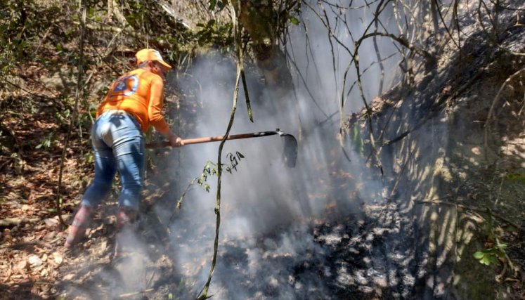 Las autoridades y organismos de socorro controlaron el incendio. Foto: Cortesía/La Opinió.