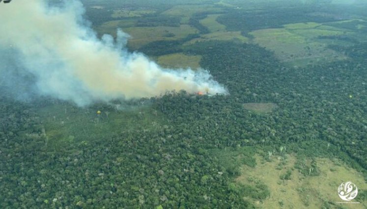 Enero registró el valor más alto de puntos de calor de los últimos 10 años para los biomas de la Amazonía. / Foto: Colprensa
