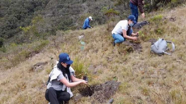 La meta es sembrar 5.000 árboles en la zona protegida. Foto: Cortesía/La Opinión.