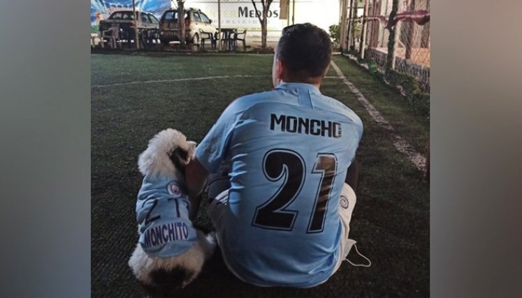 Las mascotas, modelos de diseños de ropa