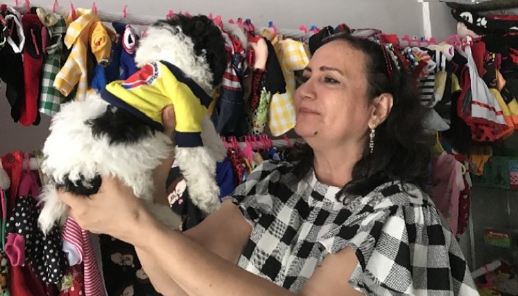 Las mascotas, modelos de diseños de ropa