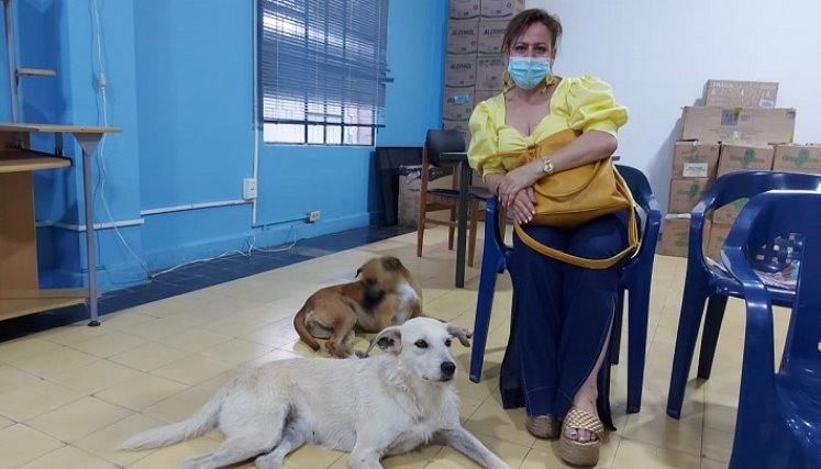 En todos los espacios la siguen los perros buscando la protección.