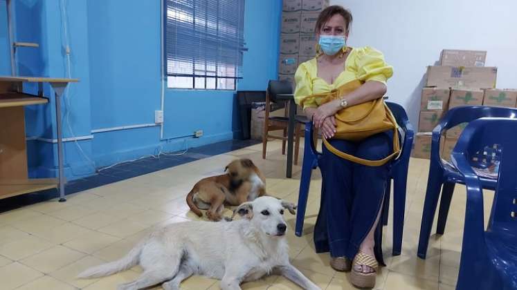 En todos los espacios la siguen los perros buscando la protección.