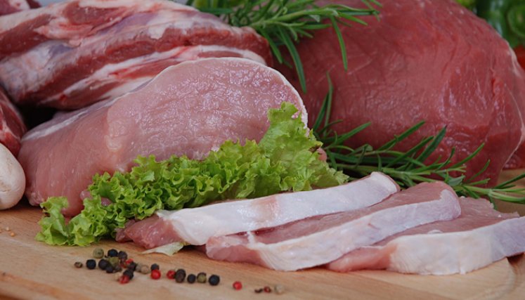 Carnes