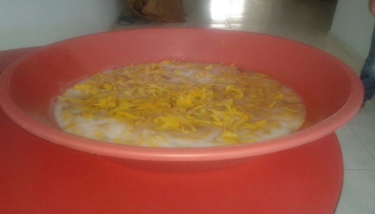  Visitantes a la Hidalga Villa prueban un plato típico como es la barbatusca. La flor hace parte de los siete potajes de la gastronomía ocañera.
