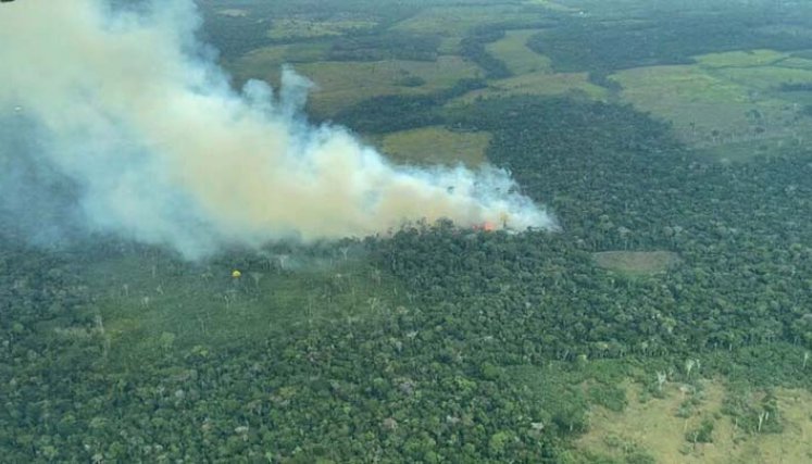 Amazonía colombiana. 