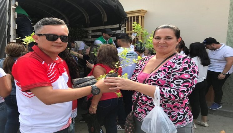 El Domingo de Ramos se entregarán árboles para evitar la comercialización de la palma y así cuidar la naturaleza. / Foto: Archivo / La Opinión 