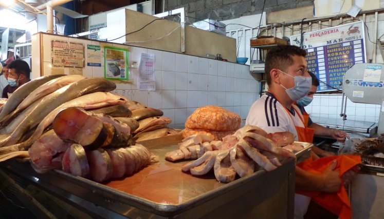 Poca afluencia de compradores de pescado reportan algunos vendedores en Táchira. Foto Anggy Polanco / La Opinión