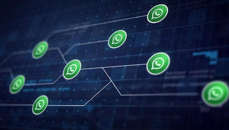 ¡Atención! Usuarios reportan caída de WhatsApp