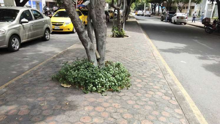 Centro de Cúcuta