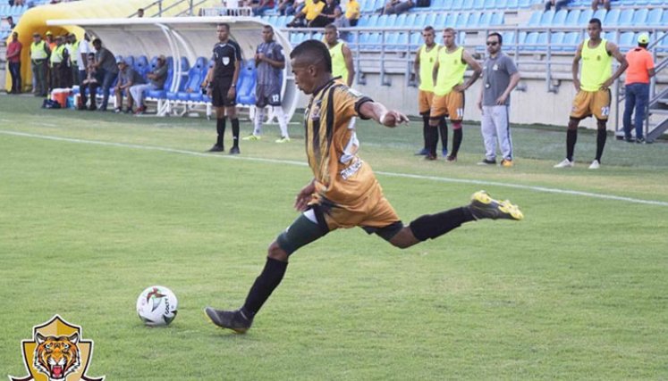 Domingo Ortiz-Tigres