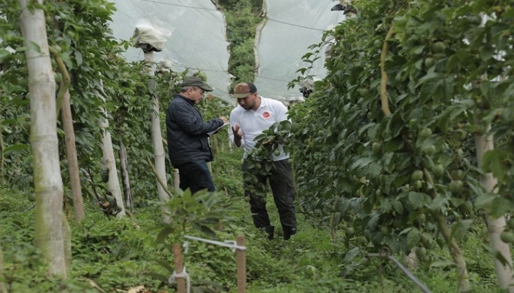 Emprender Paz. / Foto: Cortesía
