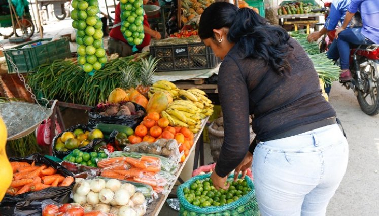 Producción de frutas y verduras 