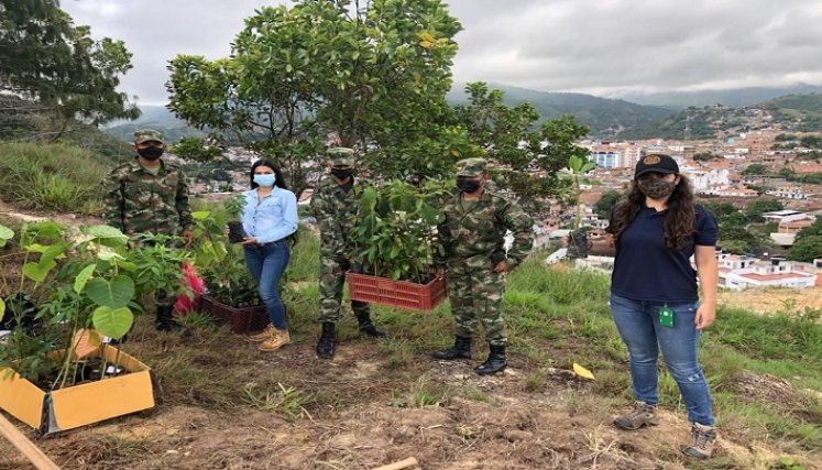 En Ocaña se promueve una campaña encaminada a fortalecer la silvicultura urbana con el fin de recuperar las zonas verdes. / Foto: Cortesía / La Opinión