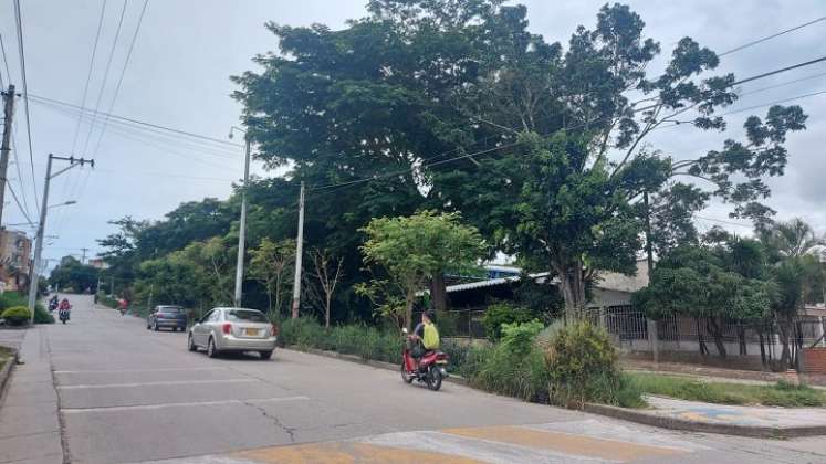 En Ocaña se promueve una campaña encaminada a fortalecer la silvicultura urbana con el fin de recuperar las zonas verdes. / Foto: Cortesía / La Opinión