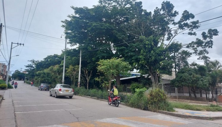 En Ocaña se promueve una campaña encaminada a fortalecer la silvicultura urbana con el fin de recuperar las zonas verdes. / Foto: Cortesía / La Opinión