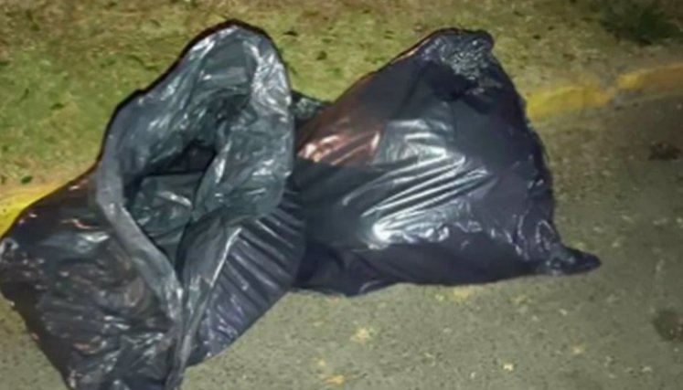 Abandonaron en bolsas negras a una persona desmembrada./Foto: referencia - internet
