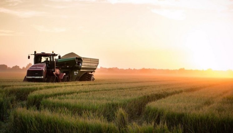 ¿Cuáles son las máquinas agrícolas más utilizadas en las fincas de Colombia?/Foto: cortesía