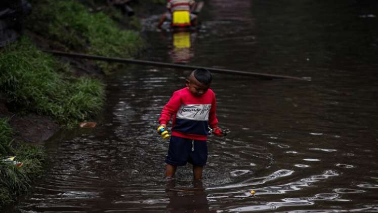 Parásitos invaden los órganos del ser humano 