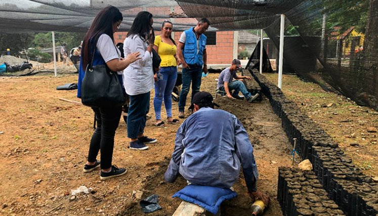 Semillas de paz