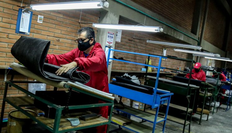 Sector Calzado en Cúcuta 