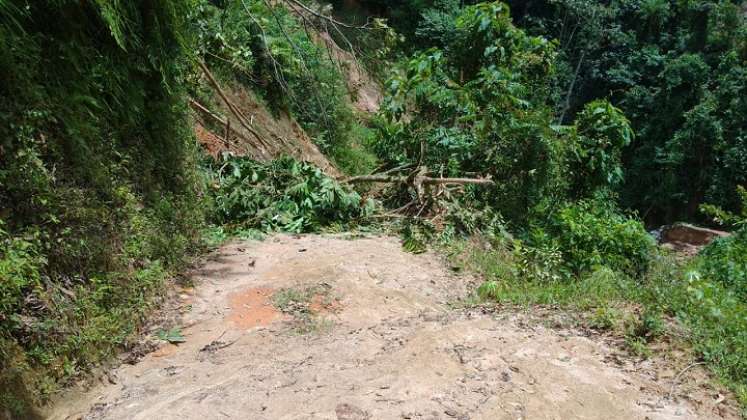 En máxima alerta se encuentran los municipios de la zona del Catatumbo ante las frecuentes precipitaciones de los últimos días.