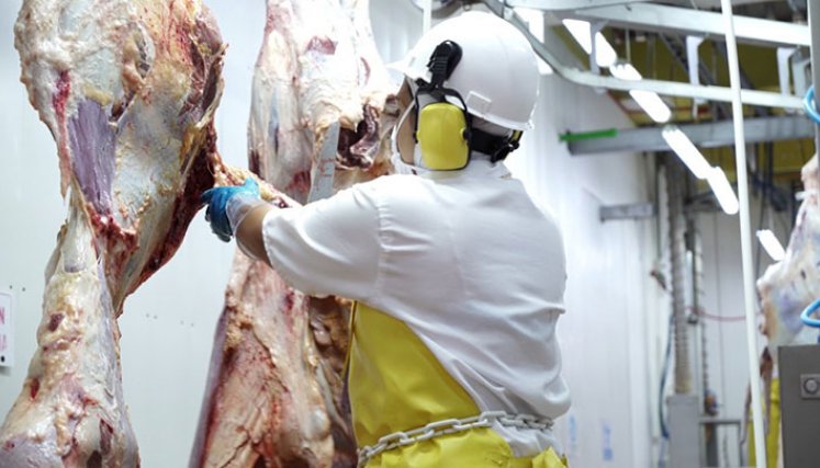 En promedio, el kilo de carne está costando entre 25 mil y 30 mil pesos, en Cúcuta. / Foto: Cortesía