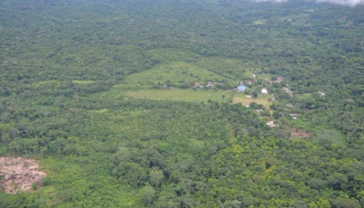 imponente selva del Catatumbo