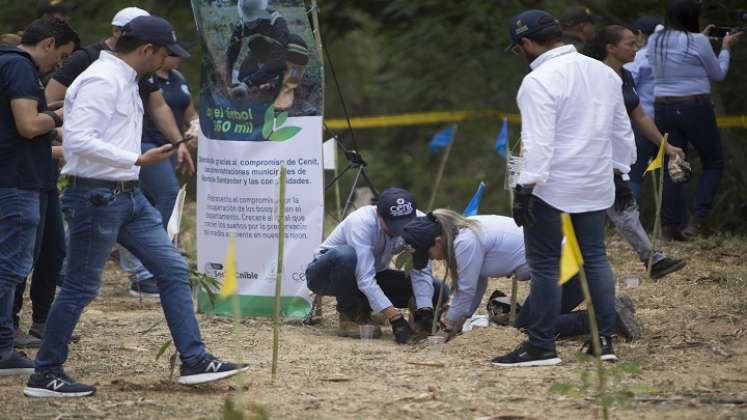 360 mil pulmones vegetales para Norte de Santander